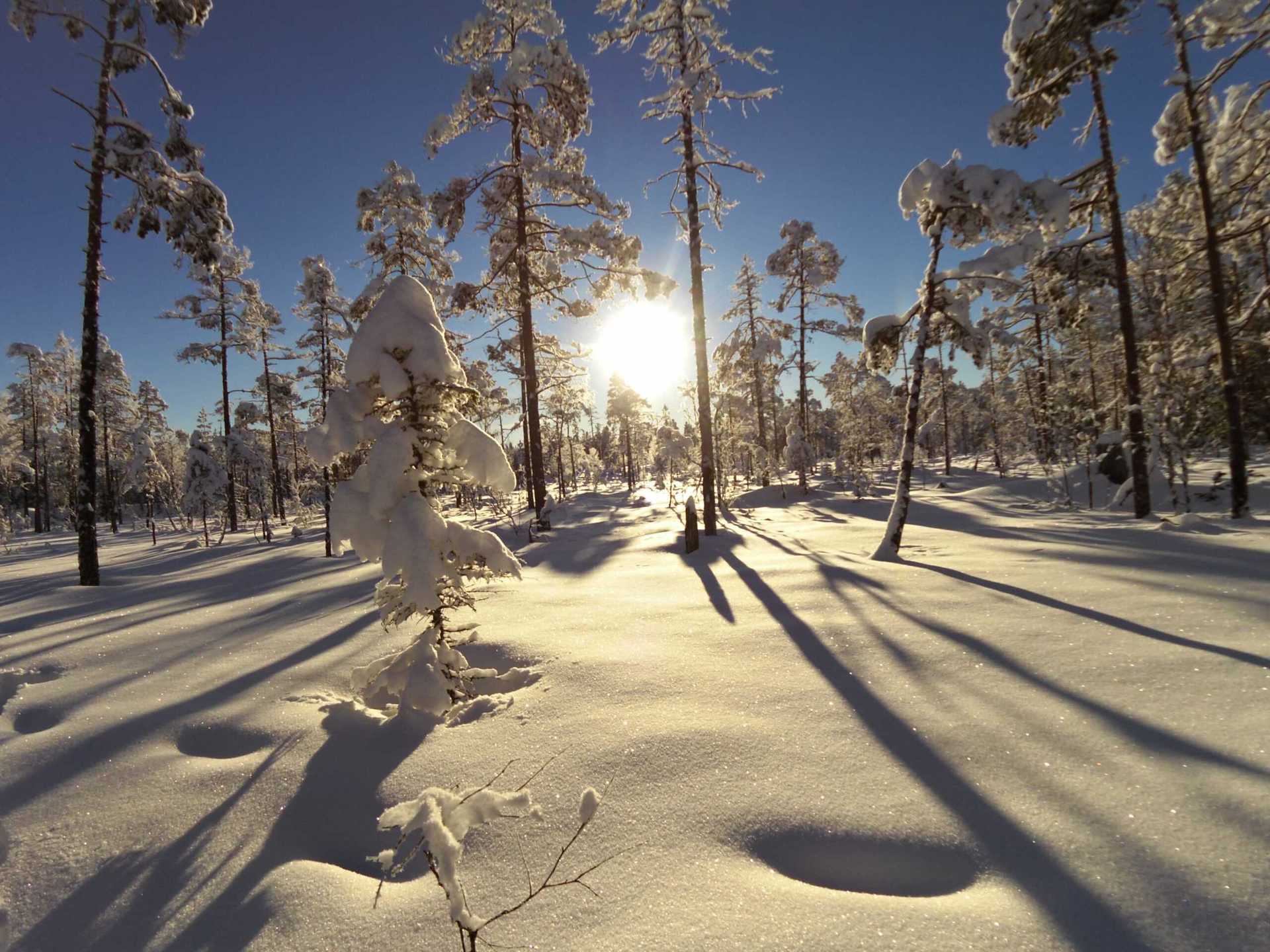 Schaatsen in Zweden met inbalansalkmaar